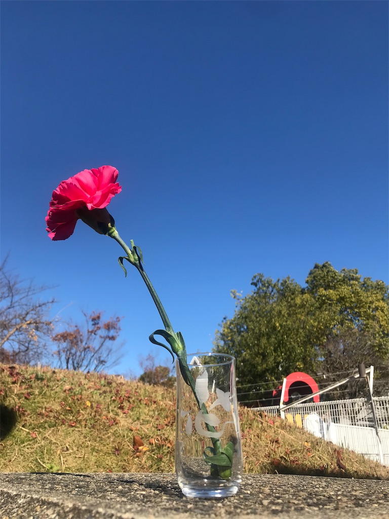 f:id:powerofrun:20191129162951j:image f:id:powerofrun:20191129162951j:image