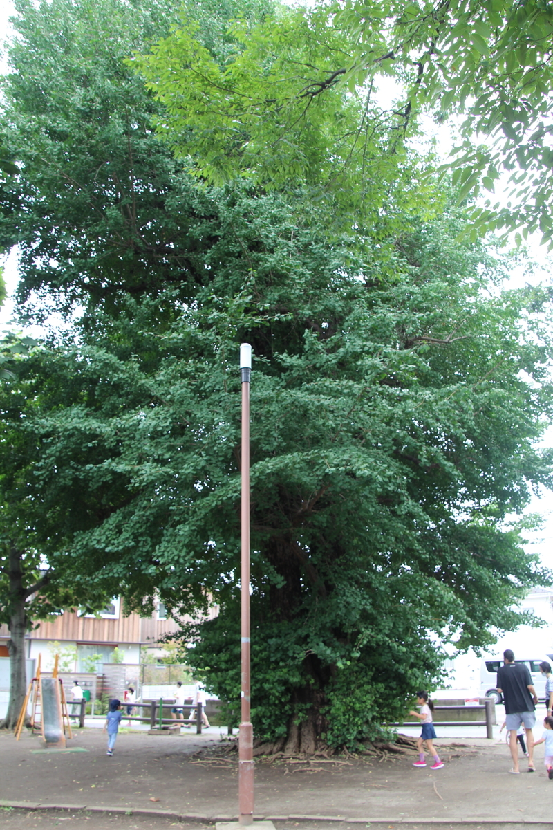 f:id:powerspottimes:20200722152117j:plain