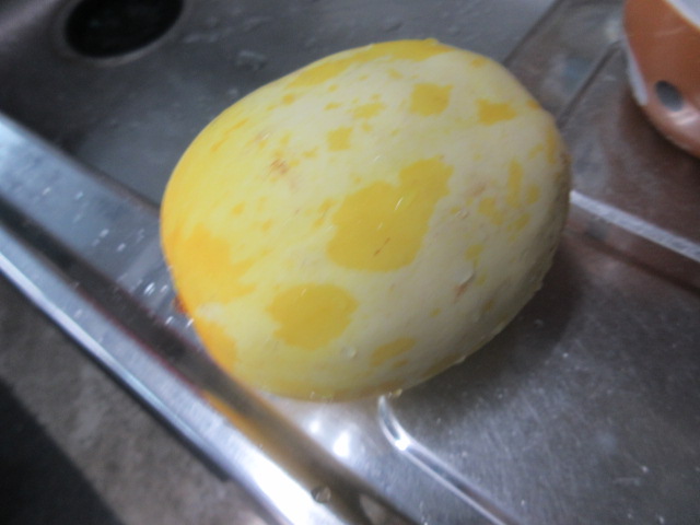 f:id:powersta:20210824091931j:plain