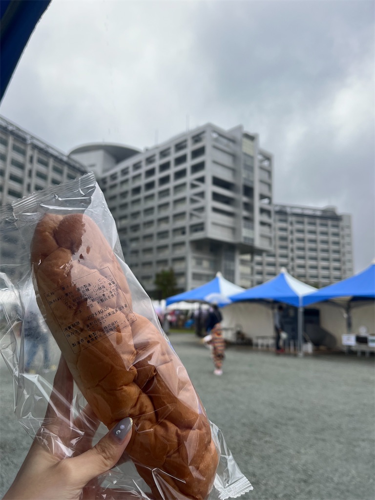 f:id:poyapoyako:20250106033437j:image