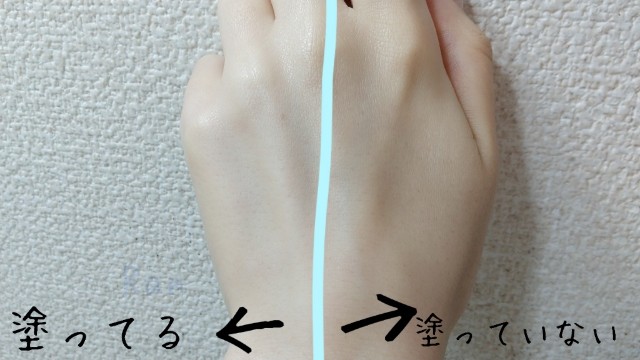 f:id:poyo0927:20210530171806j:image