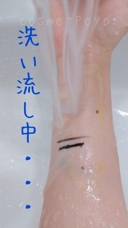 f:id:poyo0927:20210929004835j:plain