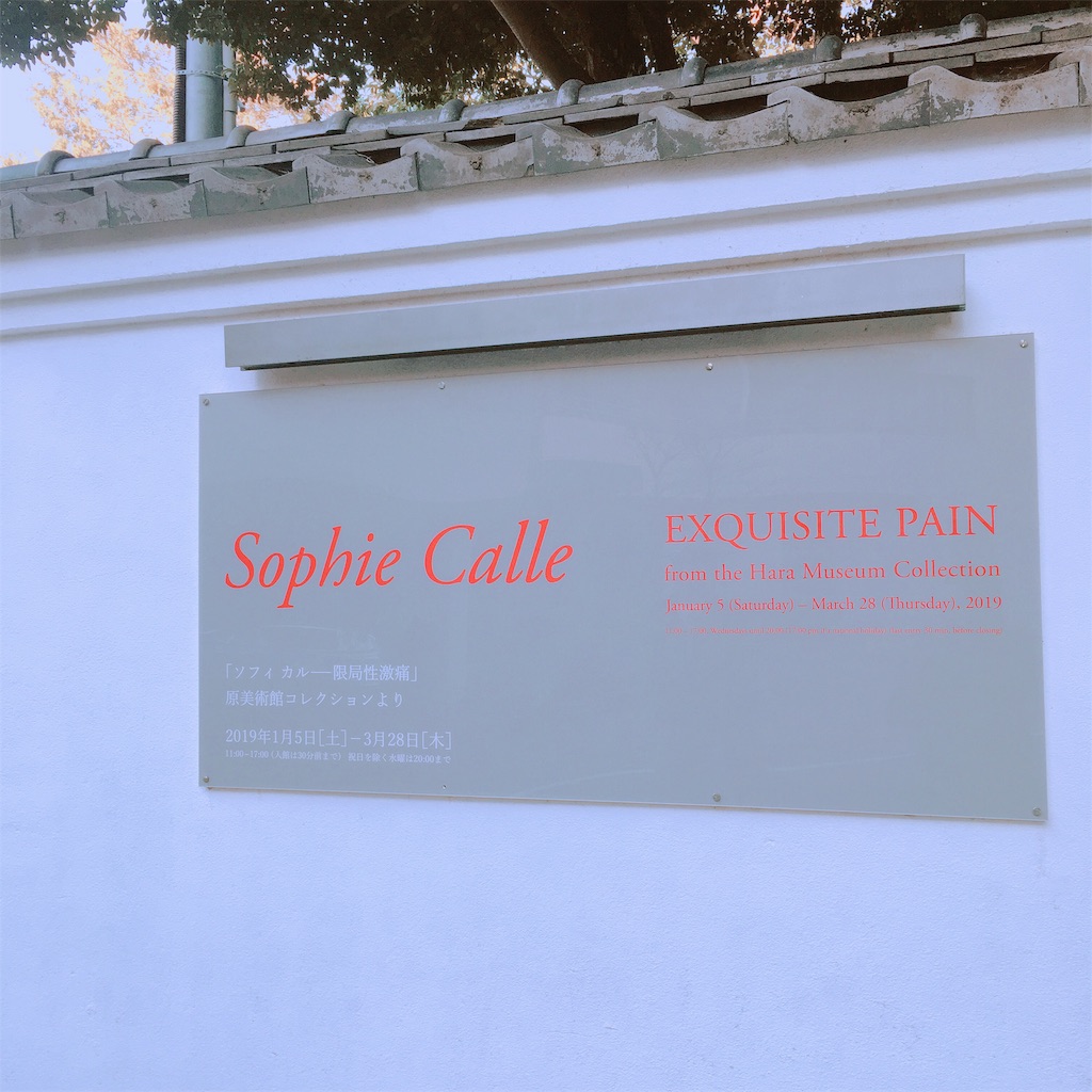 f:id:poyocha:20190120233113j:image f:id:poyocha:20190120233113j:image