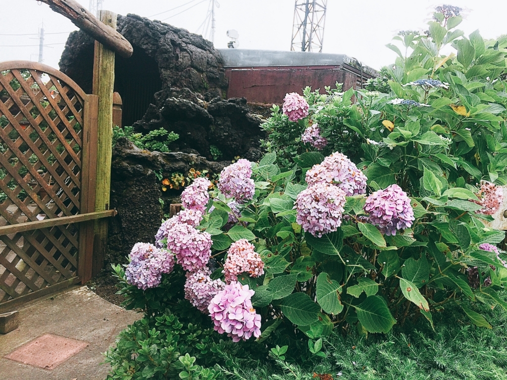 f:id:poyohiyo:20170710162536j:plain