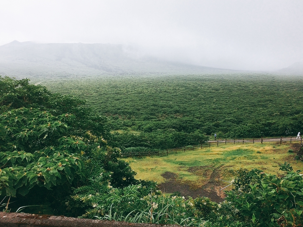 f:id:poyohiyo:20170710163811j:plain