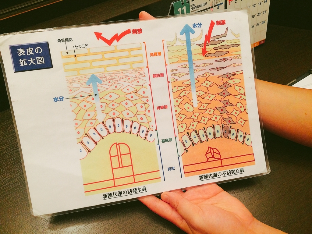 f:id:poyohiyo:20171003111702j:plain