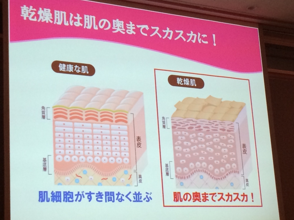 f:id:poyohiyo:20171231012632j:plain