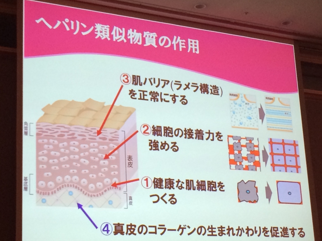 f:id:poyohiyo:20171231012725j:plain