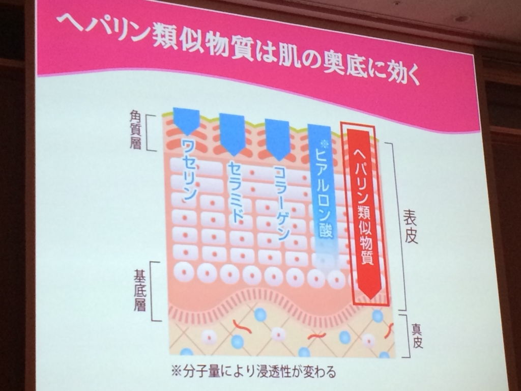 f:id:poyohiyo:20171231012733j:plain