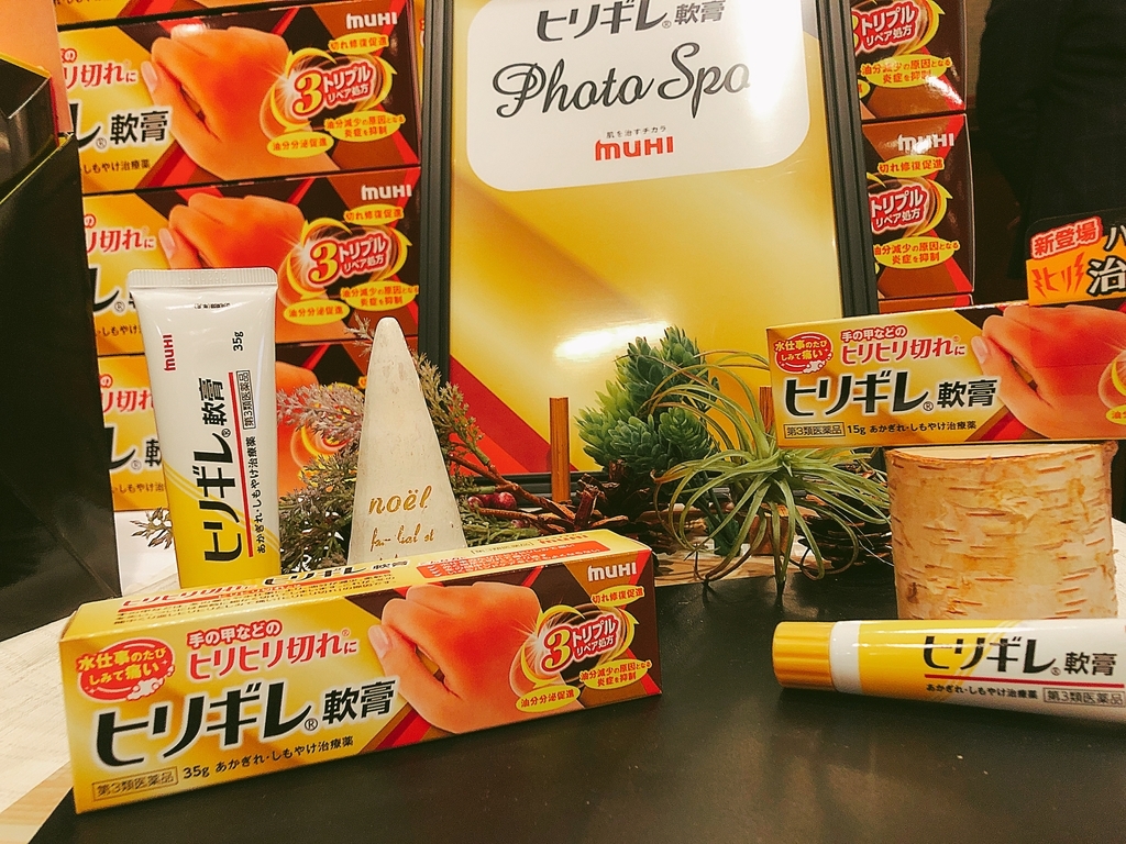 f:id:poyohiyo:20181222084921j:plain