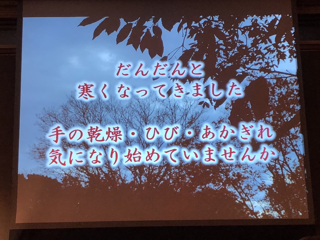 f:id:poyohiyo:20181222084952j:plain