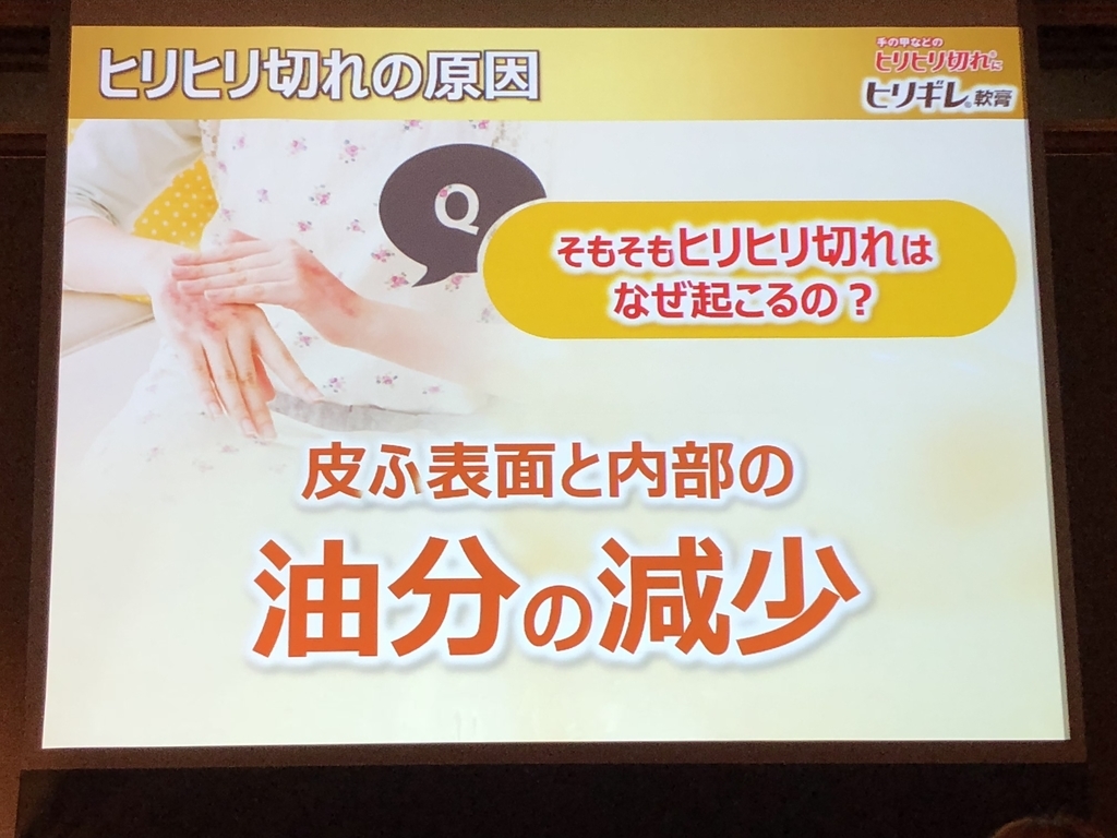 f:id:poyohiyo:20181222085035j:plain