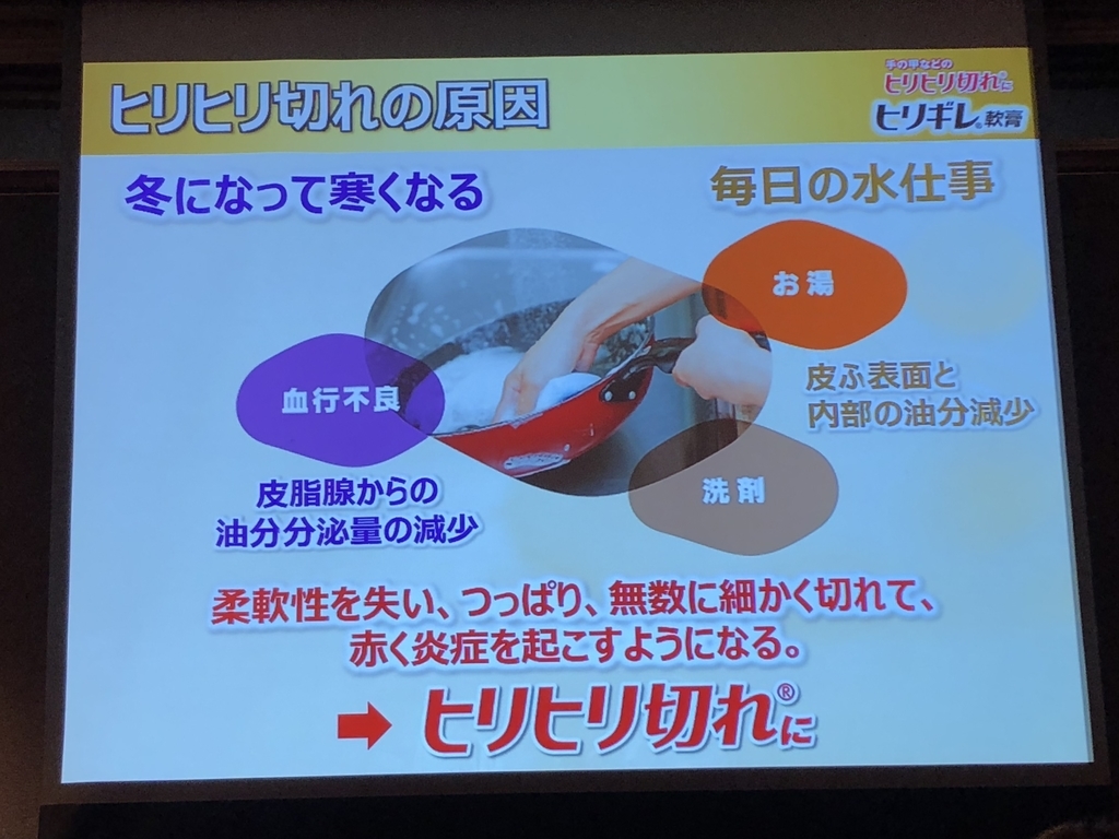 f:id:poyohiyo:20181222085051j:plain