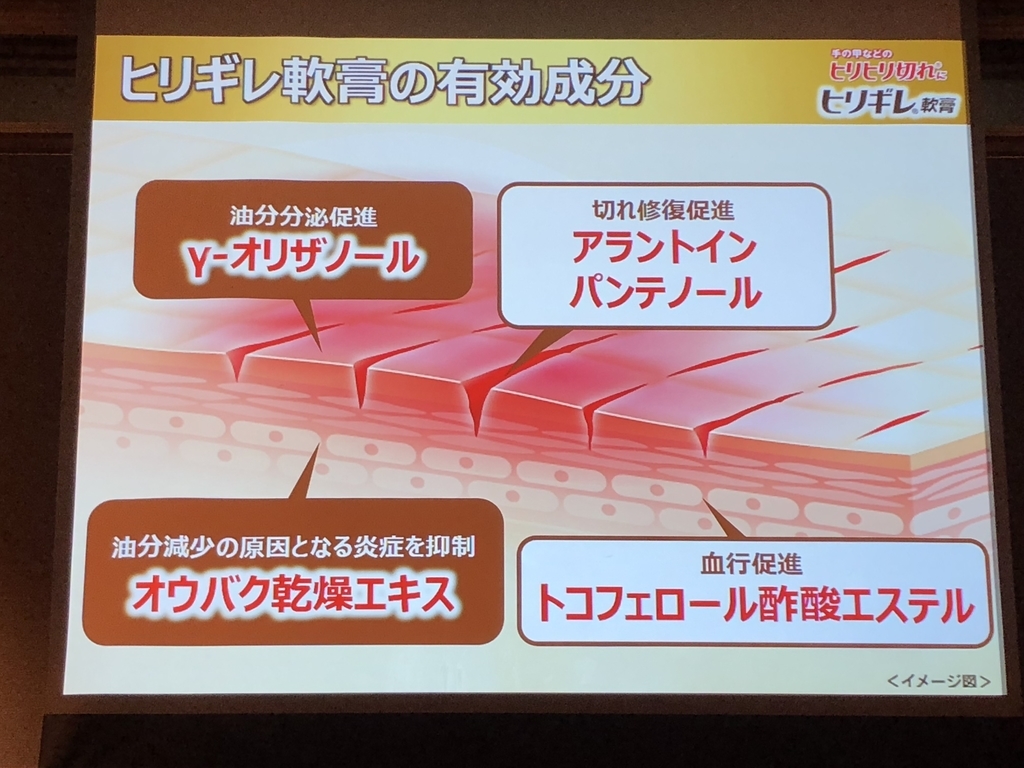 f:id:poyohiyo:20181222085055j:plain