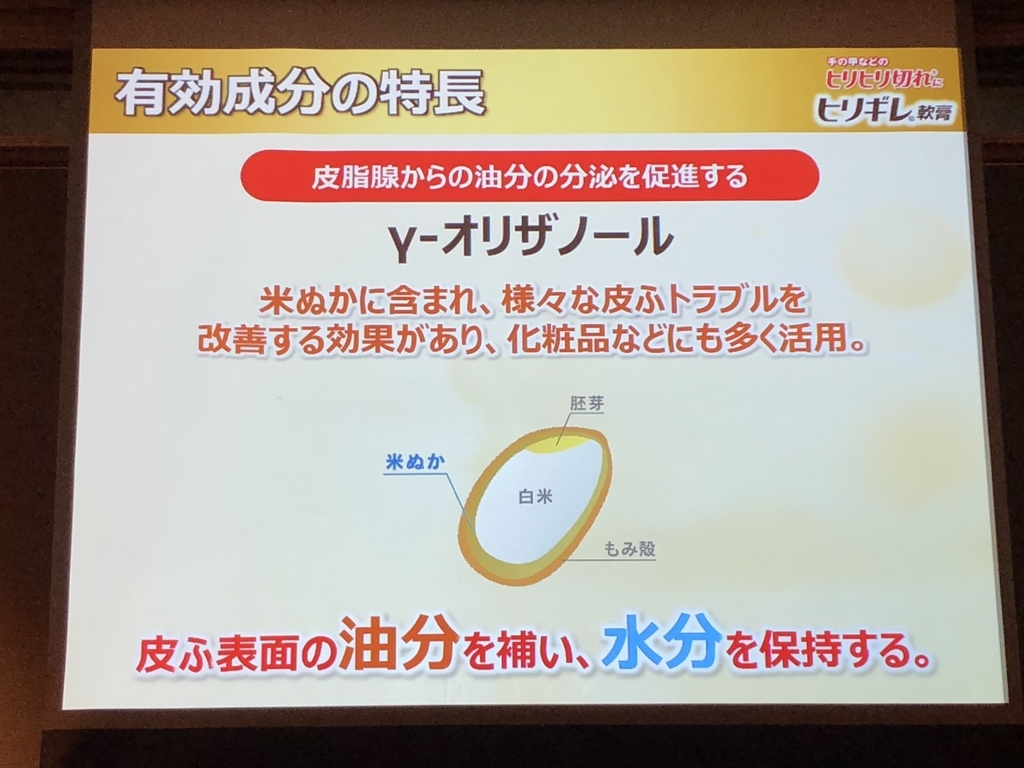 f:id:poyohiyo:20181222085059j:plain