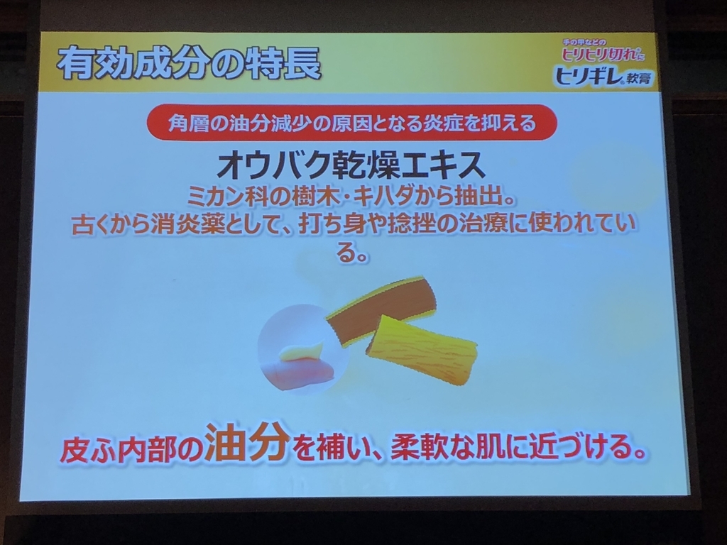 f:id:poyohiyo:20181222085105j:plain