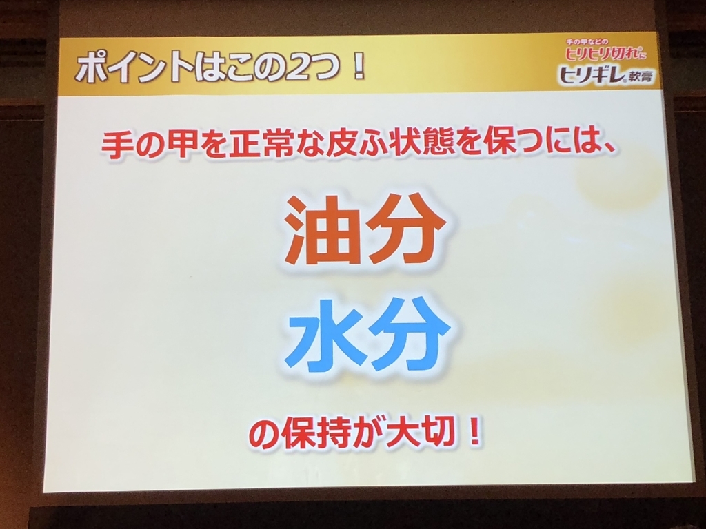 f:id:poyohiyo:20181222085115j:plain