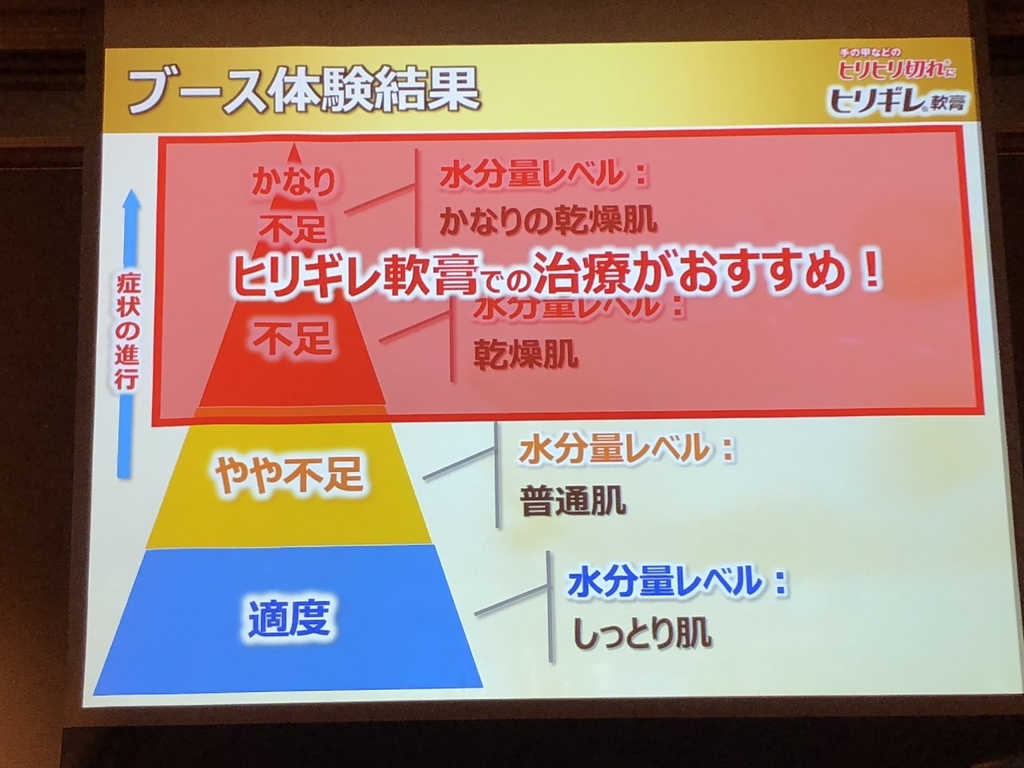f:id:poyohiyo:20181222085137j:plain