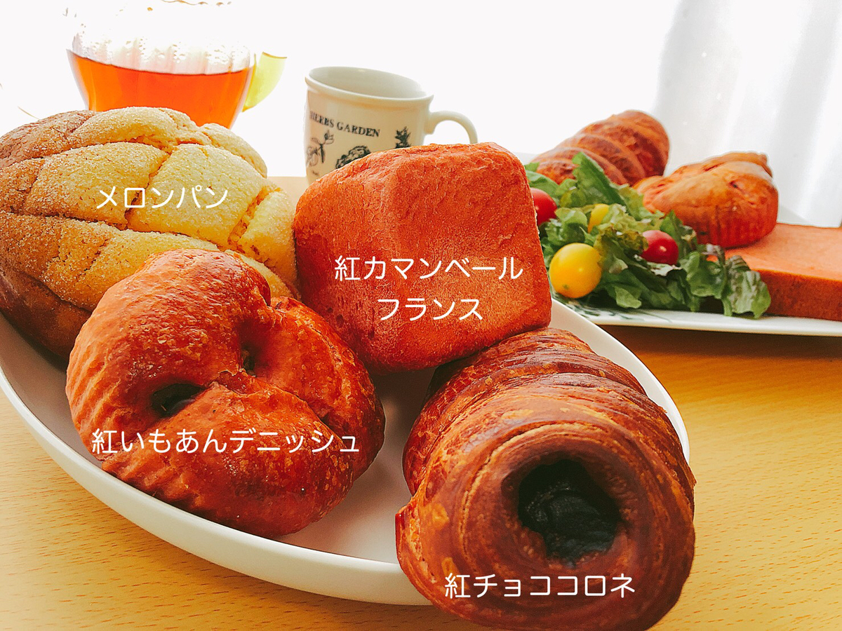 f:id:poyohiyo:20201005212818j:plain