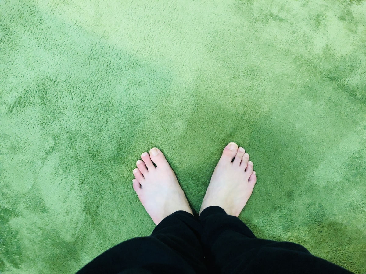 f:id:poyomama:20190426222647j:plain f:id:poyomama:20190426222647j:plain