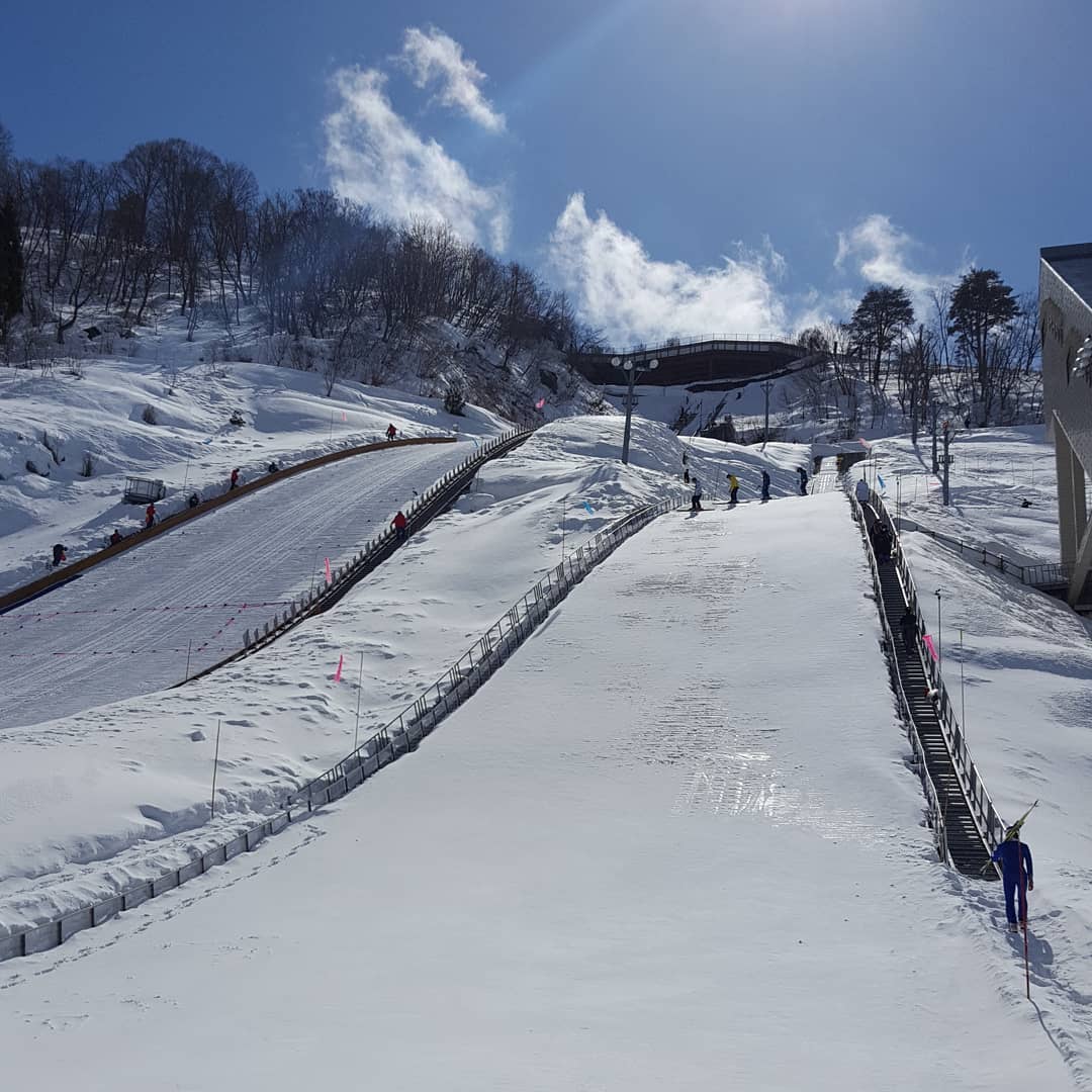 f:id:poyomarushin:20210424164717j:plain