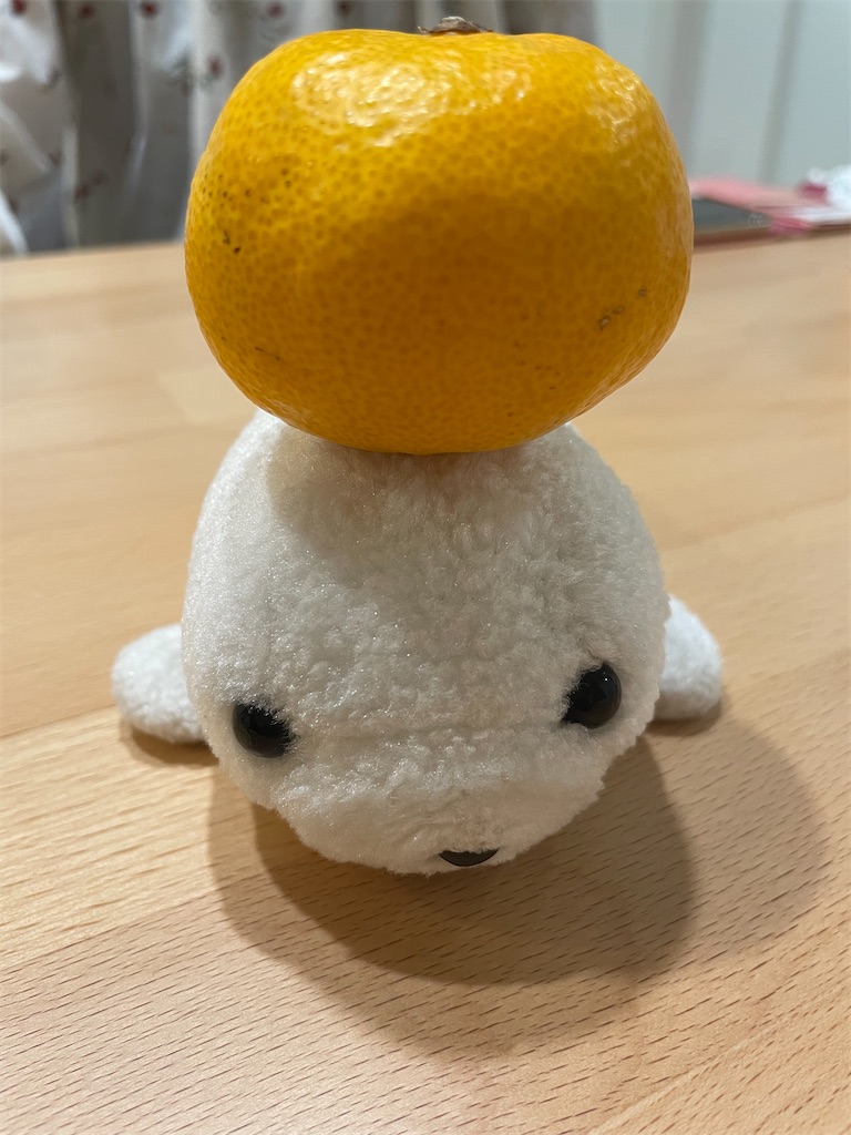 f:id:poyopo-yo:20251023200345j:image f:id:poyopo-yo:20251023200345j:image