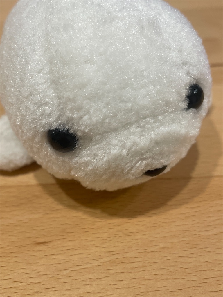 f:id:poyopo-yo:20260121202547j:image
