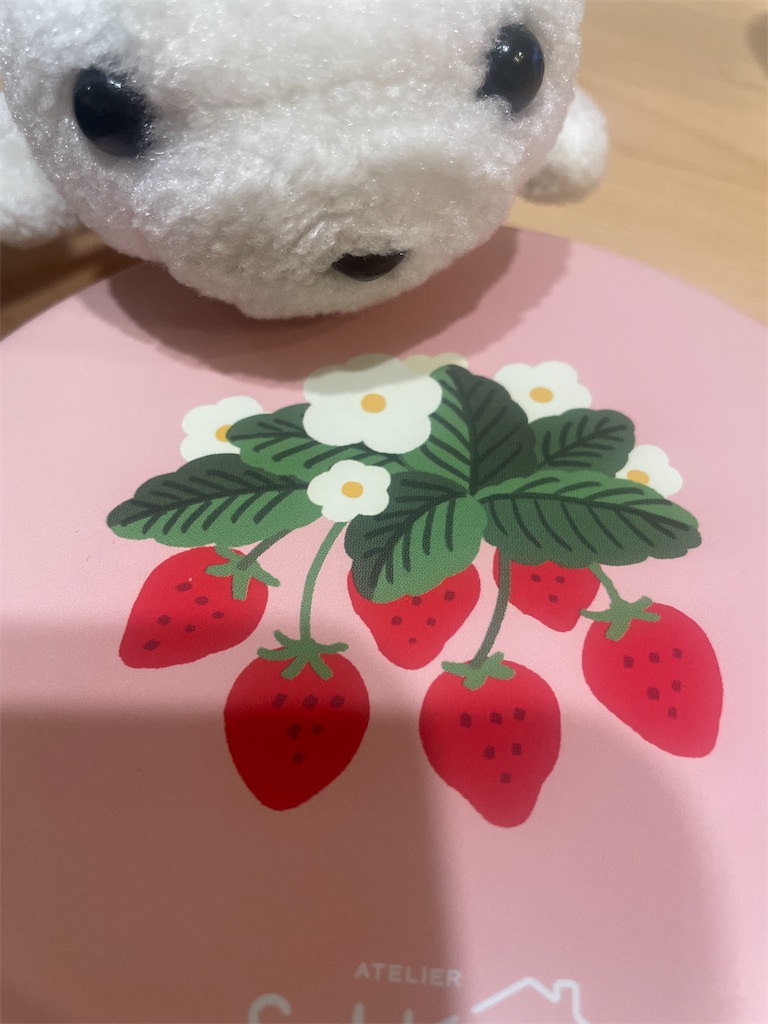 f:id:poyopo-yo:20260203203731j:image