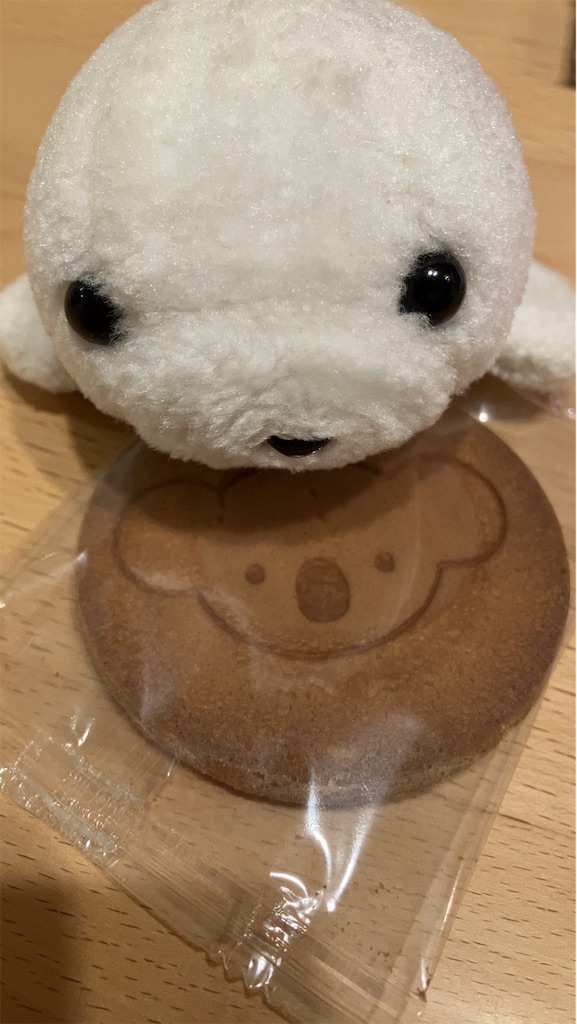 f:id:poyopo-yo:20260207194746j:image