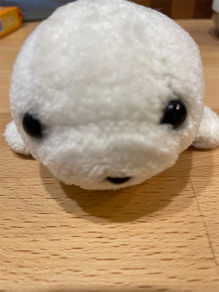 f:id:poyopo-yo:20260213201042j:image