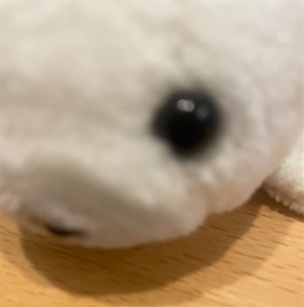 f:id:poyopo-yo:20260324193003j:image