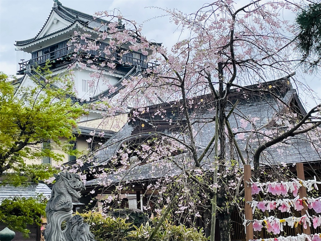 f:id:poyopo-yo:20260404203902j:image