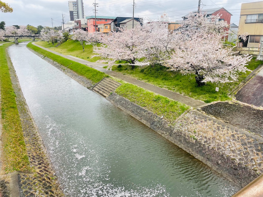 f:id:poyopo-yo:20260404204136j:image