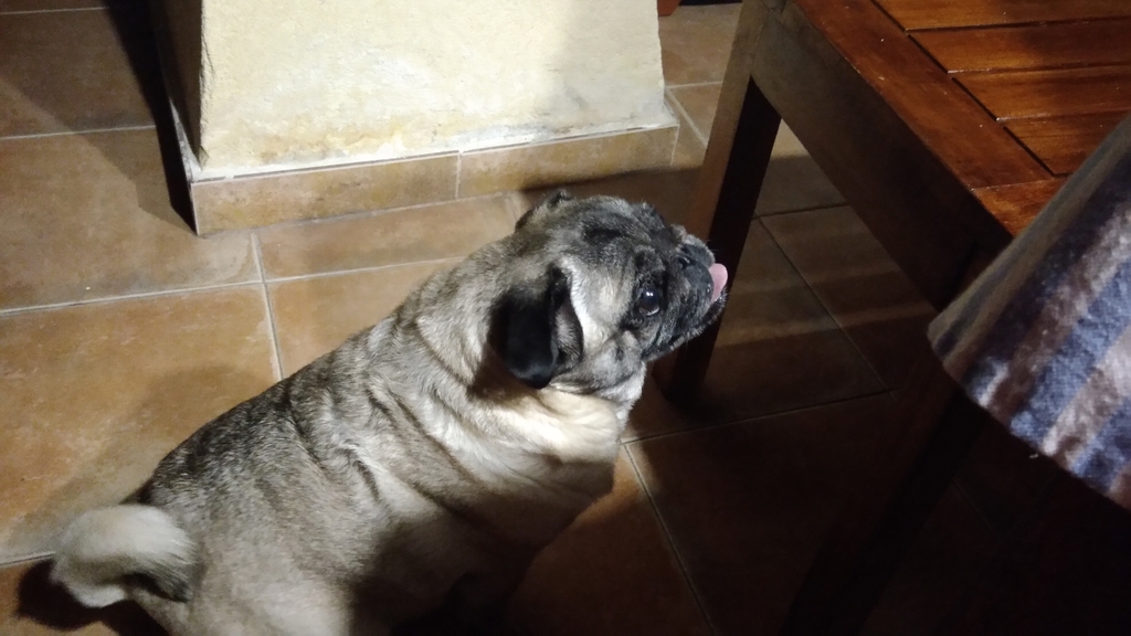 f:id:poyopoyota:20180902035456j:plain
