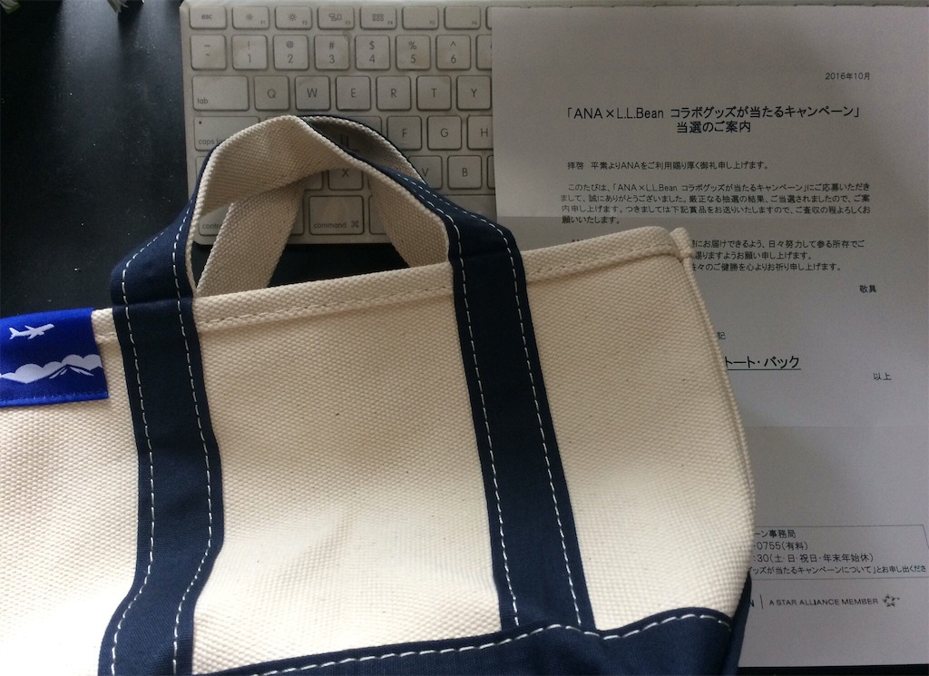 f:id:poyosuke_zuort:20161029161701j:image