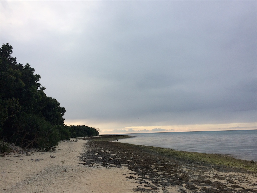 f:id:poyosuke_zuort:20170118211203j:image