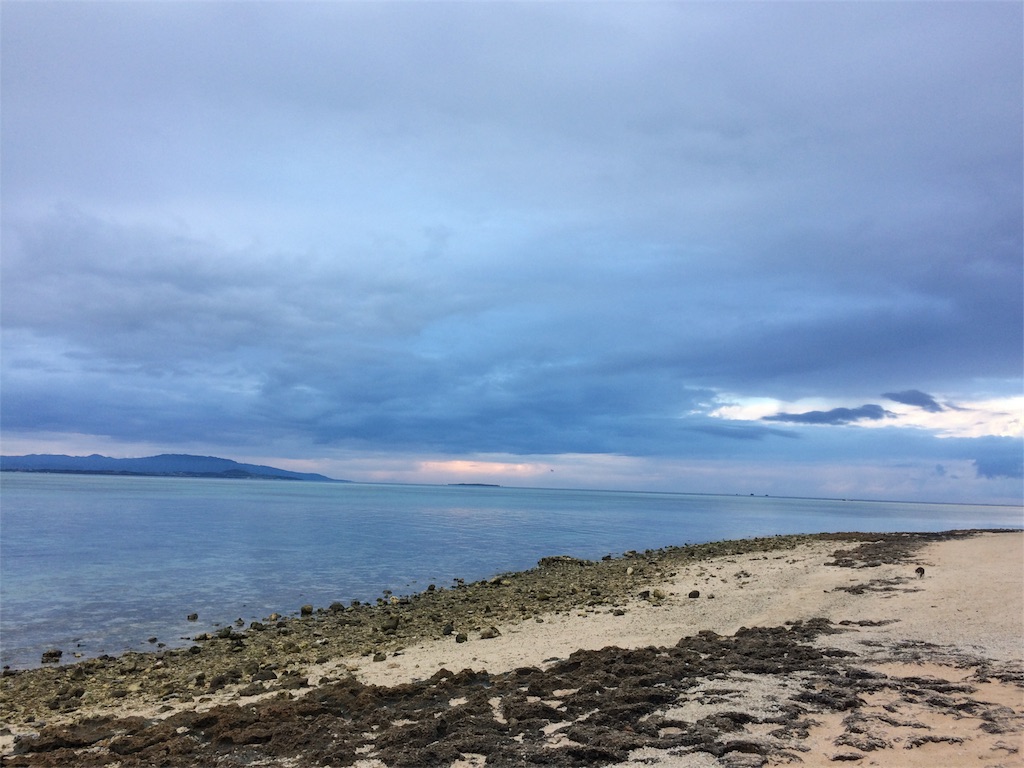 f:id:poyosuke_zuort:20170118211225j:image