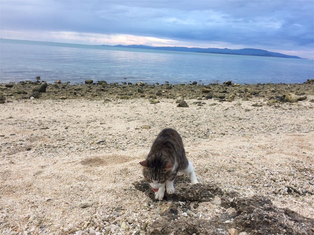 f:id:poyosuke_zuort:20170118211241j:image