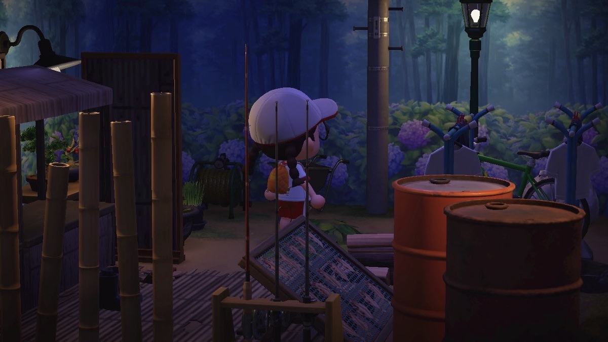 Switchw܂ǂԂ̐XxA435{˔j ->摜>17 