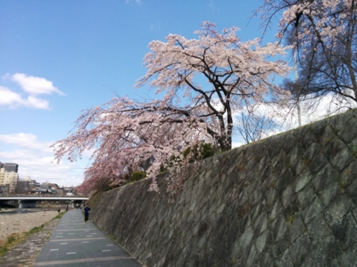 f:id:pppoooppp:20160326163820j:plain