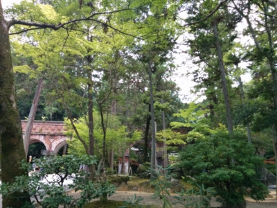 f:id:pppoooppp:20160731171841j:plain