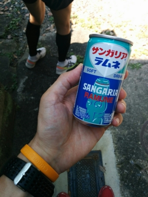 f:id:pppoooppp:20160731171843j:plain