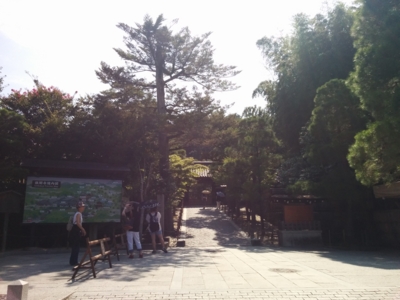 f:id:pppoooppp:20160731171856j:plain