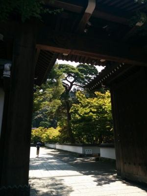 f:id:pppoooppp:20160731171907j:plain