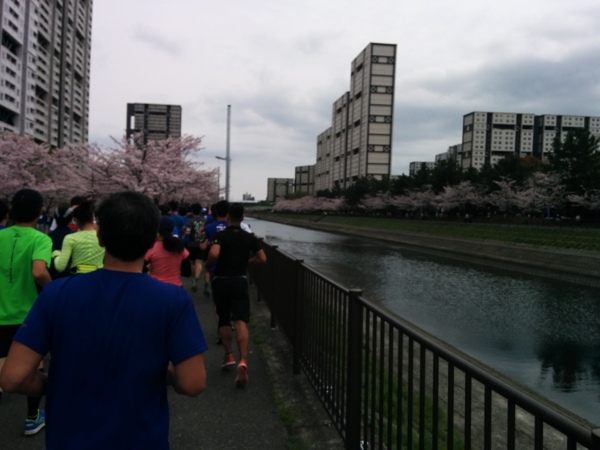 f:id:pppoooppp:20170409130004j:plain