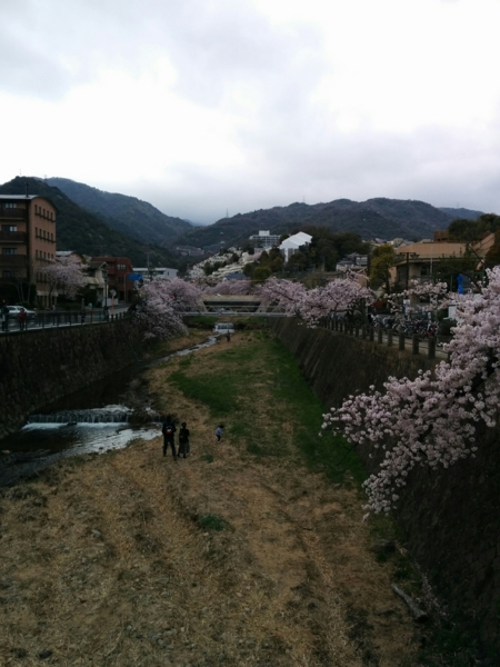 f:id:pppoooppp:20170409162530j:plain