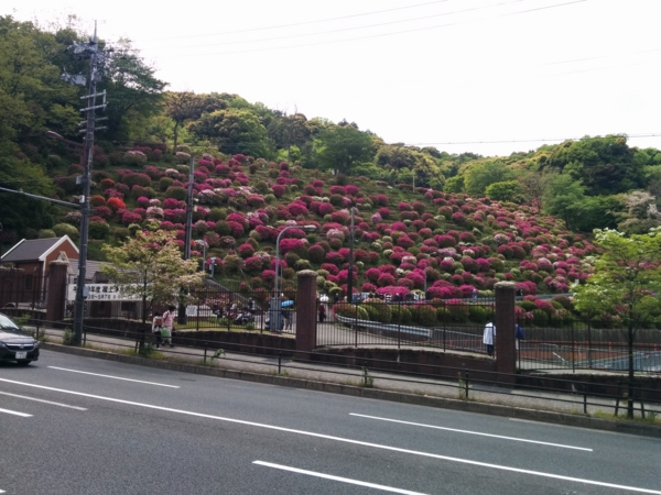 f:id:pppoooppp:20170503130016j:plain f:id:pppoooppp:20170503130016j:plain