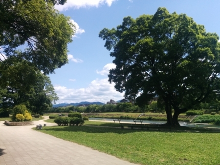 f:id:pppoooppp:20170604094519j:plain
