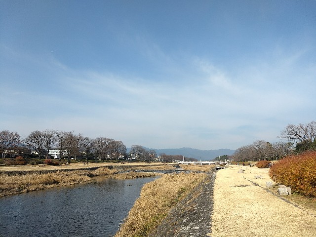 f:id:pppoooppp:20171223161809j:image f:id:pppoooppp:20171223161809j:image