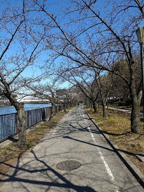 f:id:pppoooppp:20180214190959j:image f:id:pppoooppp:20180214190959j:image
